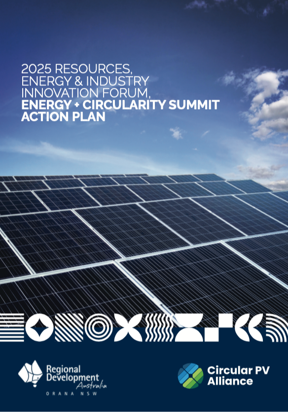 REIIF Energy + Circularity Summit Action Plan