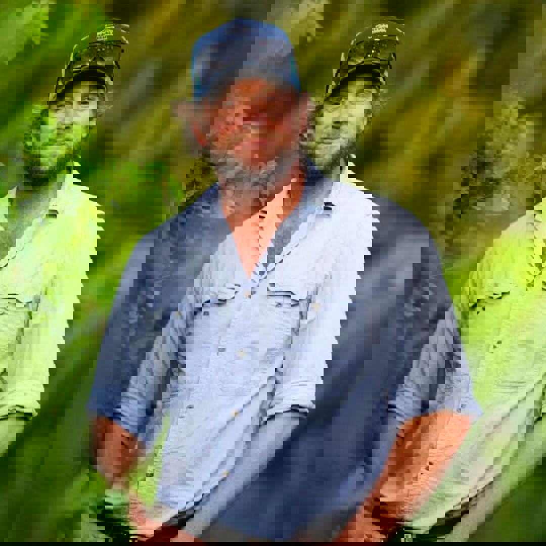 DAN