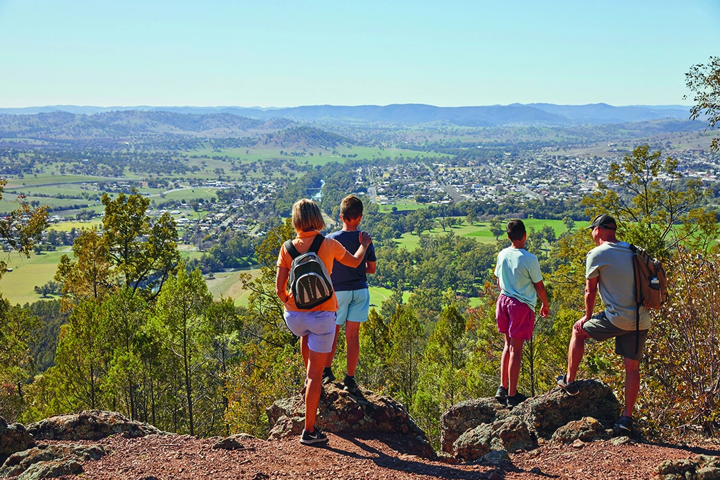 Wellington Mount Arthur Hike